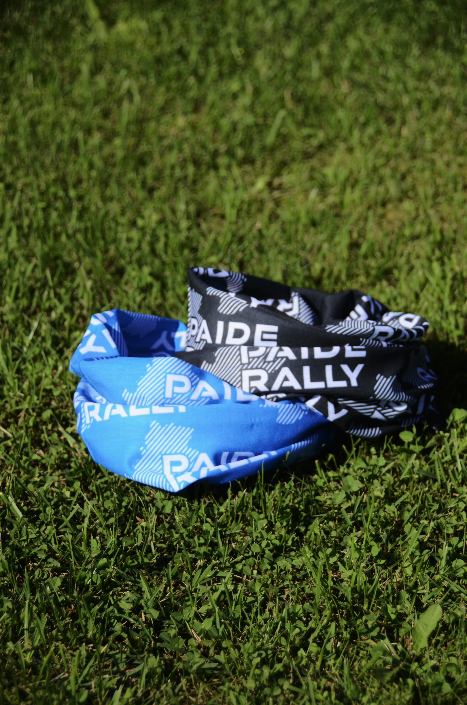 Paide Rally